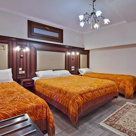 Alsos House 3*